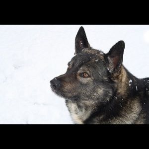 Meet your Posher, Dayna